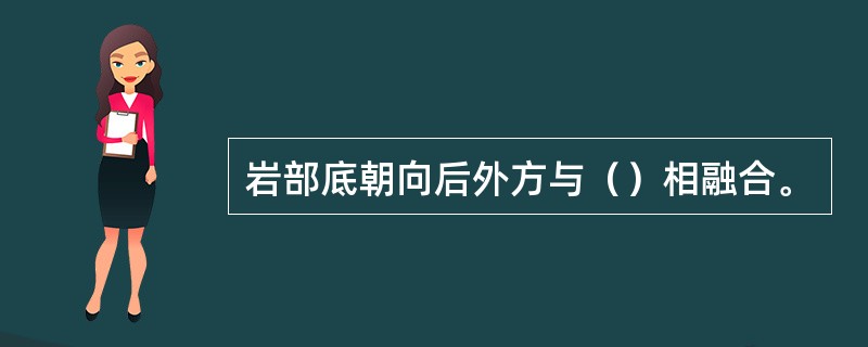 岩部底朝向后外方与（）相融合。