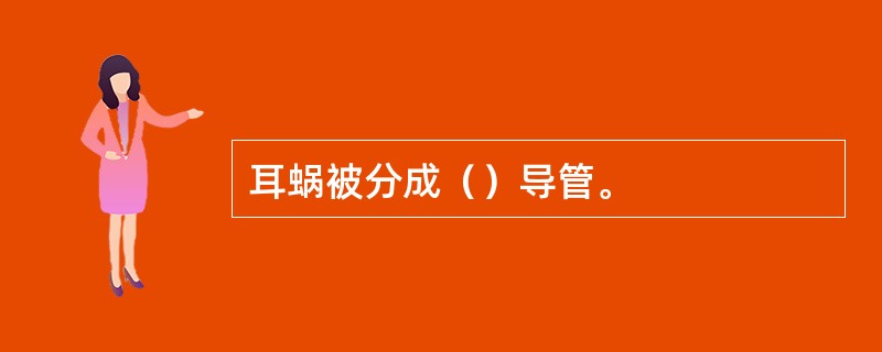 耳蜗被分成（）导管。