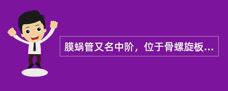 膜蜗管又名中阶，位于骨螺旋板与（）外壁之间。