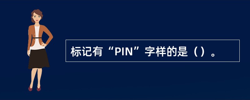 标记有“PIN”字样的是（）。