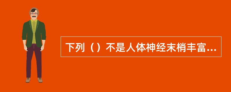 下列（）不是人体神经末梢丰富的部位。