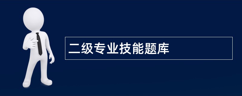 二级专业技能题库