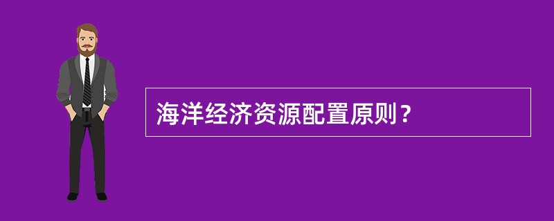 海洋经济资源配置原则？