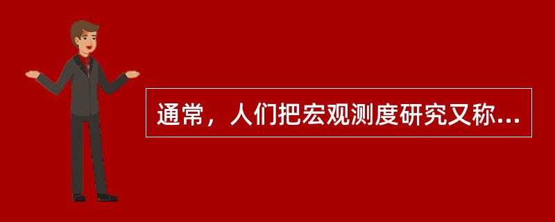 通常，人们把宏观测度研究又称作（）。