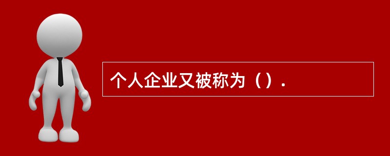 个人企业又被称为（）.