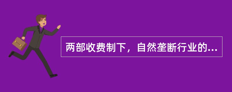 两部收费制下，自然垄断行业的定价组合为（）.