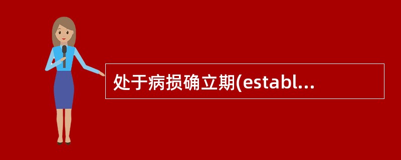 处于病损确立期(establishedlesion)牙周炎袋壁上皮下方的炎症细胞