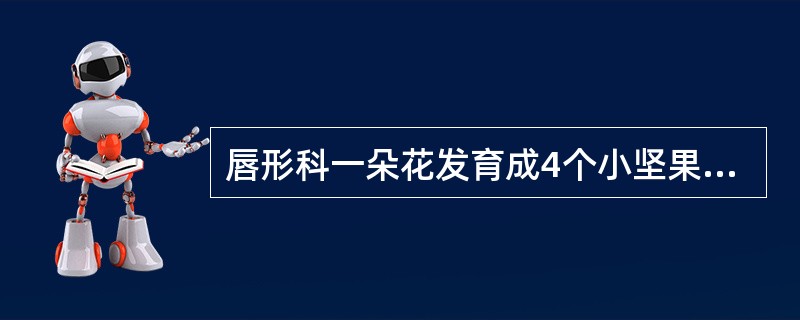 唇形科一朵花发育成4个小坚果,它们组成聚合小坚果。()