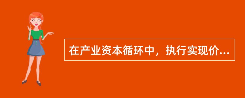 在产业资本循环中，执行实现价值和剩余价值职能的资本是（）