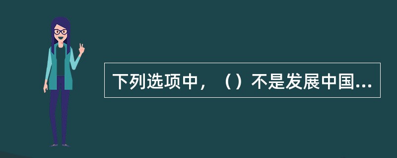 下列选项中，（）不是发展中国家的特征。