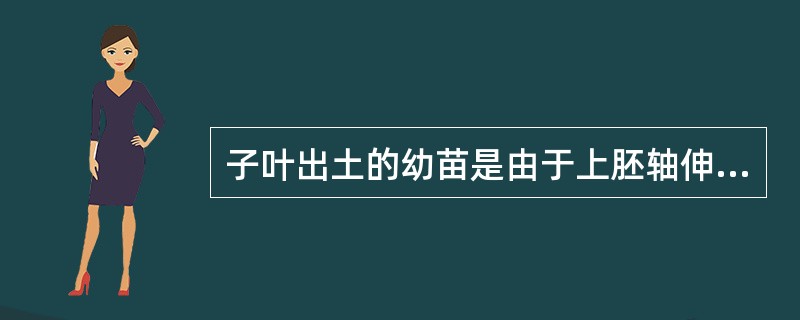 子叶出土的幼苗是由于上胚轴伸长,将子叶推出土面。()