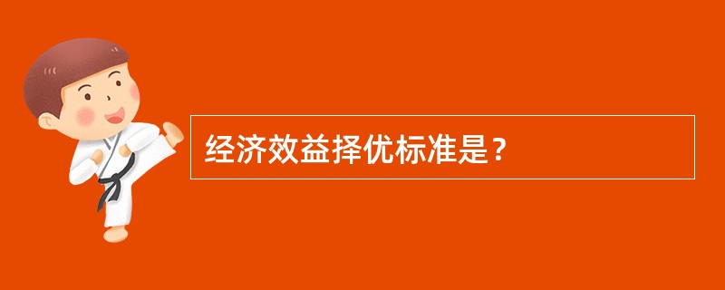 经济效益择优标准是？