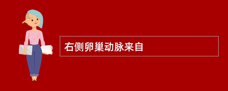 右侧卵巢动脉来自