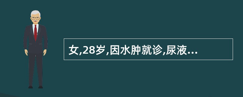 女,28岁,因水肿就诊,尿液检查蛋白(£«£«),红细胞5~10£¯HP,白细胞