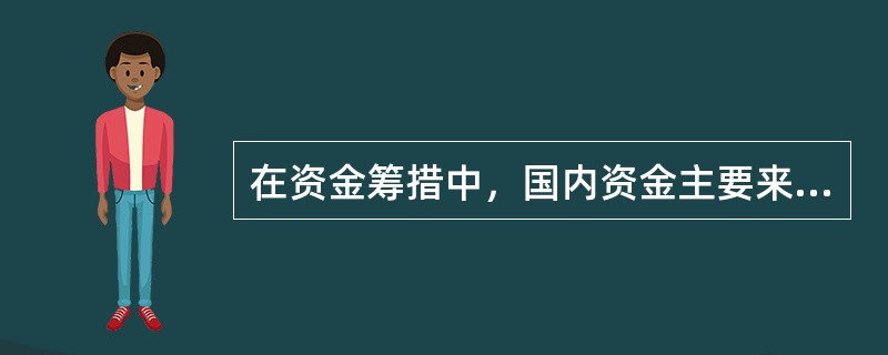 在资金筹措中，国内资金主要来源于