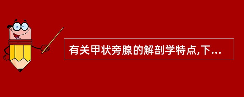 有关甲状旁腺的解剖学特点,下列选项错误的是