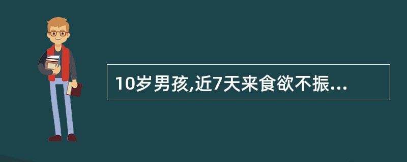 10岁男孩,近7天来食欲不振、恶心、呕吐,伴乏力、尿黄来医院就诊。病前两周曾注射