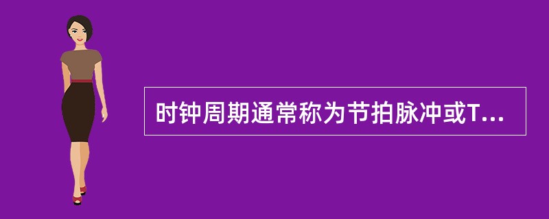 时钟周期通常称为节拍脉冲或T周期,下列关于时钟周期的叙述,正确的是