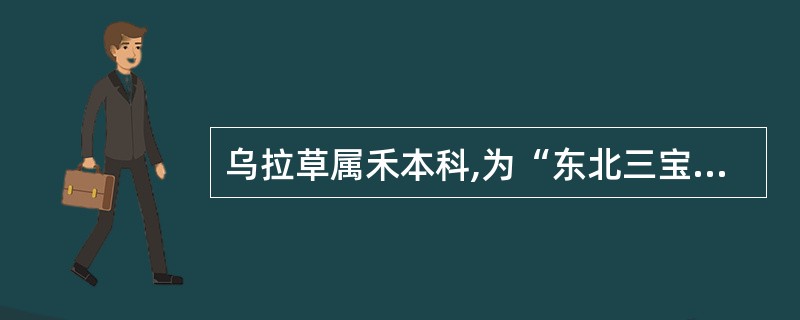 乌拉草属禾本科,为“东北三宝”之一。()