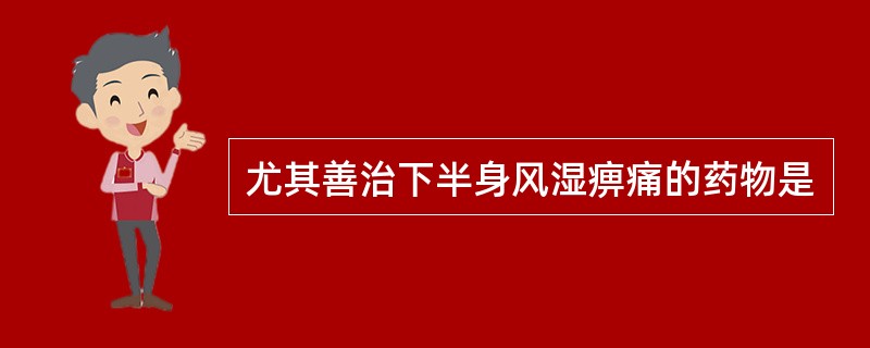 尤其善治下半身风湿痹痛的药物是