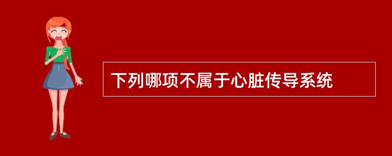 下列哪项不属于心脏传导系统