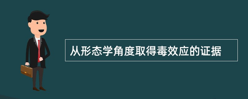 从形态学角度取得毒效应的证据