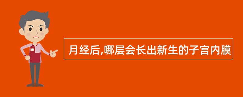 月经后,哪层会长出新生的子宫内膜