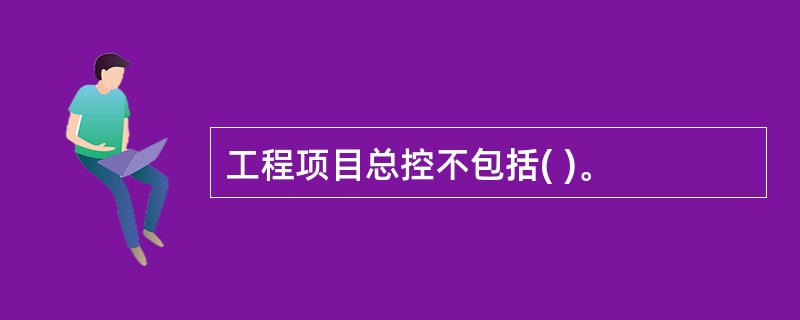 工程项目总控不包括( )。