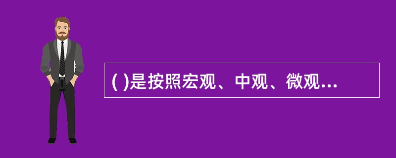 ( )是按照宏观、中观、微观的次序次序依次考虑的投资决策过程。