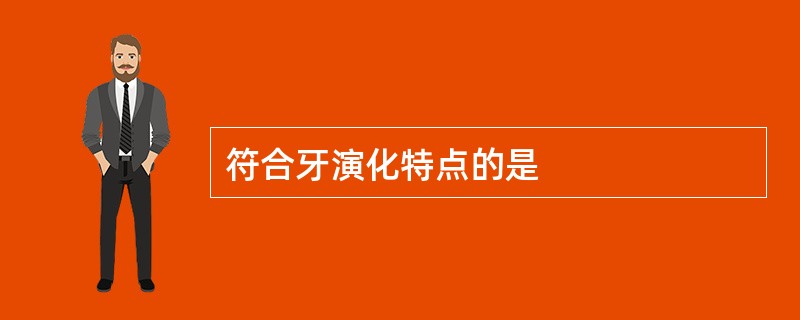 符合牙演化特点的是