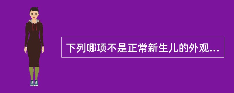 下列哪项不是正常新生儿的外观特点