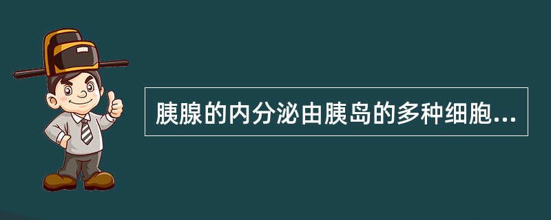 胰腺的内分泌由胰岛的多种细胞构成,其中B细胞分泌