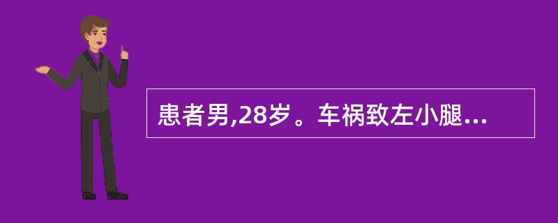 患者男,28岁。车祸致左小腿肿胀、压痛,膝下8cm处成角畸形,小腿短缩,胫骨前侧