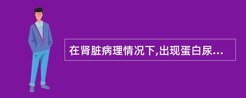 在肾脏病理情况下,出现蛋白尿的原因是