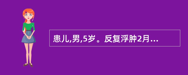 患儿,男,5岁。反复浮肿2月。尿蛋白(£«£«£«),镜检(一),尿蛋白定量>1