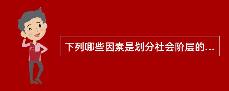 下列哪些因素是划分社会阶层的主要因素( )。