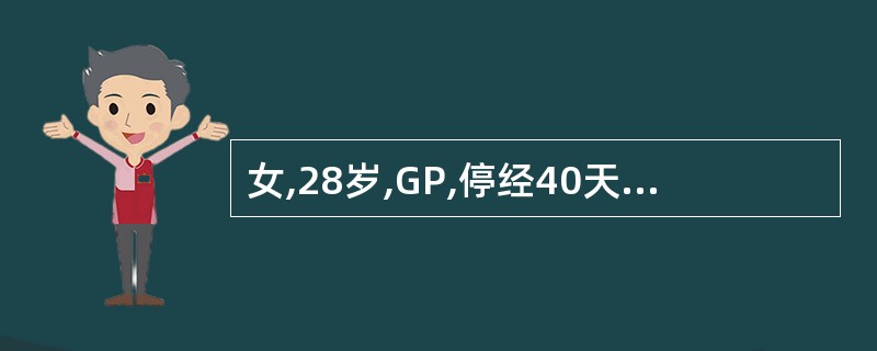女,28岁,GP,停经40天行负压吸宫术,术后36天月经未来潮,近2日下腹隐痛,