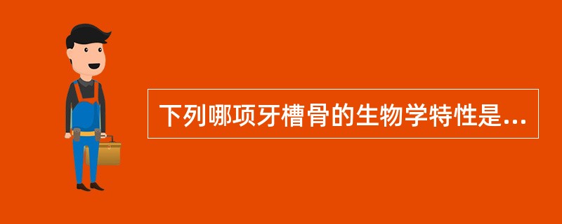 下列哪项牙槽骨的生物学特性是错误的