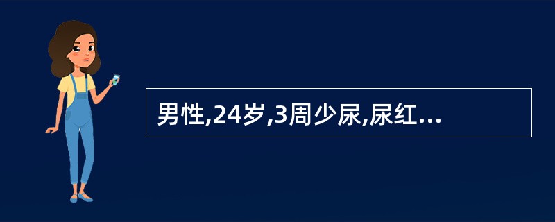 男性,24岁,3周少尿,尿红细胞20~30£¯高倍视野,尿蛋白£«£«,BP14