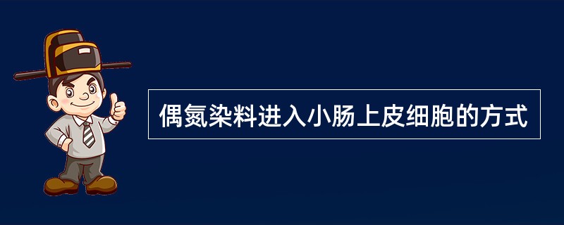 偶氮染料进入小肠上皮细胞的方式