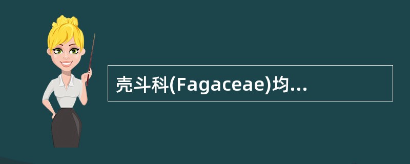 壳斗科(Fagaceae)均为木本,单叶互生,羽状脉。()