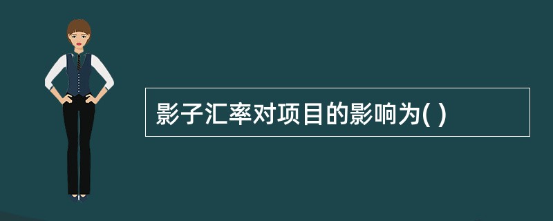 影子汇率对项目的影响为( )