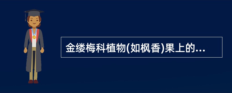 金缕梅科植物(如枫香)果上的2尖喙由()发育而来。