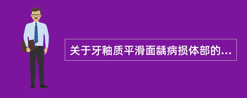 关于牙釉质平滑面龋病损体部的描述,哪项是错误的