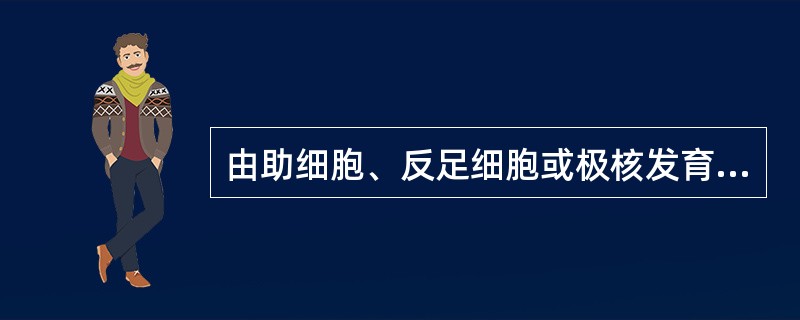 由助细胞、反足细胞或极核发育成胚称为()。