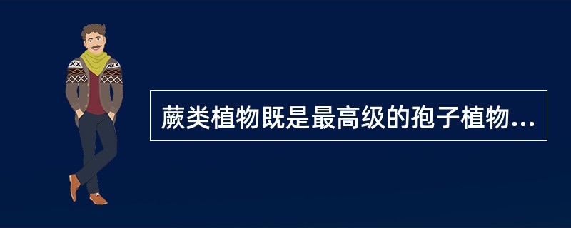 蕨类植物既是最高级的孢子植物又是最原始的维管植物。()