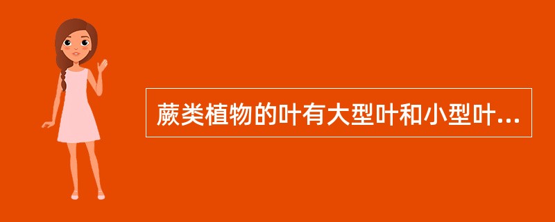 蕨类植物的叶有大型叶和小型叶,营养叶和生殖叶之分。()