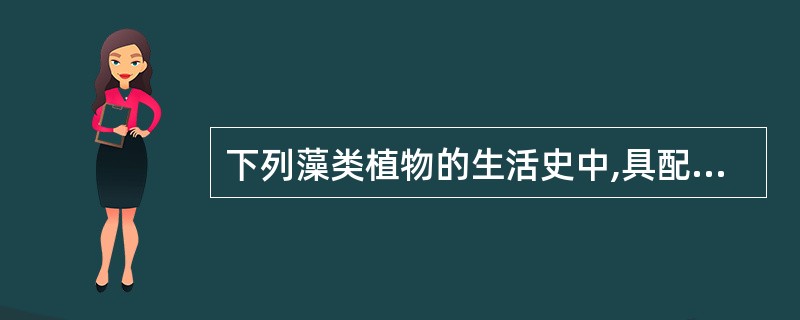 下列藻类植物的生活史中,具配子体占优势的异形世代交替的是()。