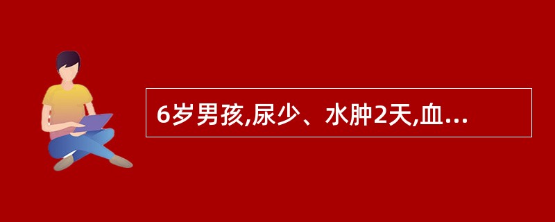 6岁男孩,尿少、水肿2天,血压130£¯90mmHg,尿常规:蛋白(£«£«),