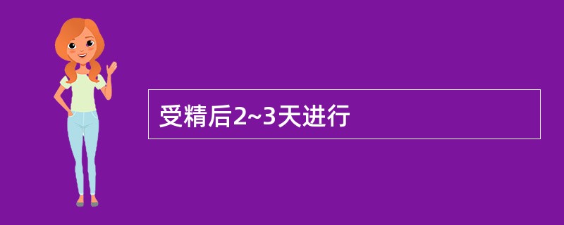 受精后2~3天进行